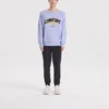 Barevný svetr s logem značky z řady Casual „Purple Yellow“