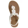 Summer Cove – Beach Bloom Summer Cove – Beach Bloom